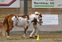 23-APHA SS_023